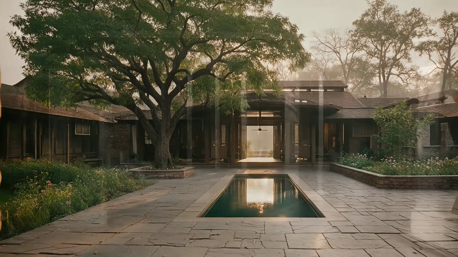 A lime-plastered courtyard around a neem tree with a long reflecting pool