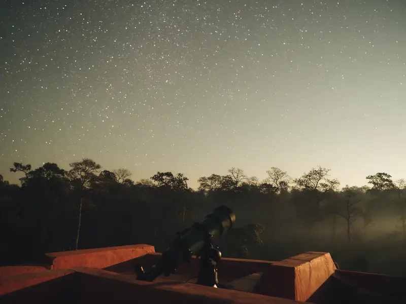 A telescope on a rooftop under a dense starry sky above a dark forest