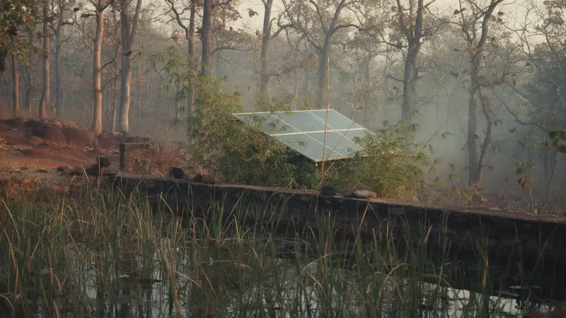 Solar panels half-hidden among bamboo beside a stone wall, with a reed-bed pond in front